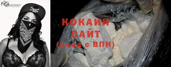 прущий лед Алзамай