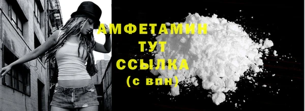 индика Абаза