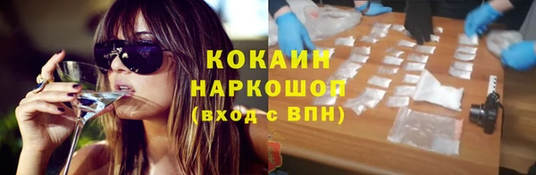 прущий лед Алзамай