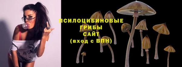 каннабис Алексеевка