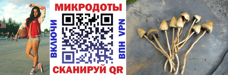 дарнет шоп  Фролово  shop состав  Псилоцибиновые грибы мицелий 
