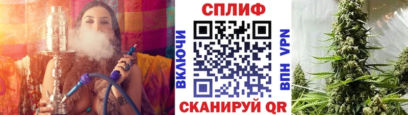 МАРИХУАНА конопля Фролово